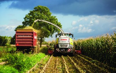 Comprender las micotoxinas y predecir el riesgo en un clima cambiante